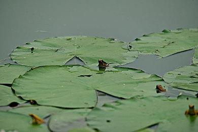 PS Plus十月移除游戏名单公布：《战地1》等